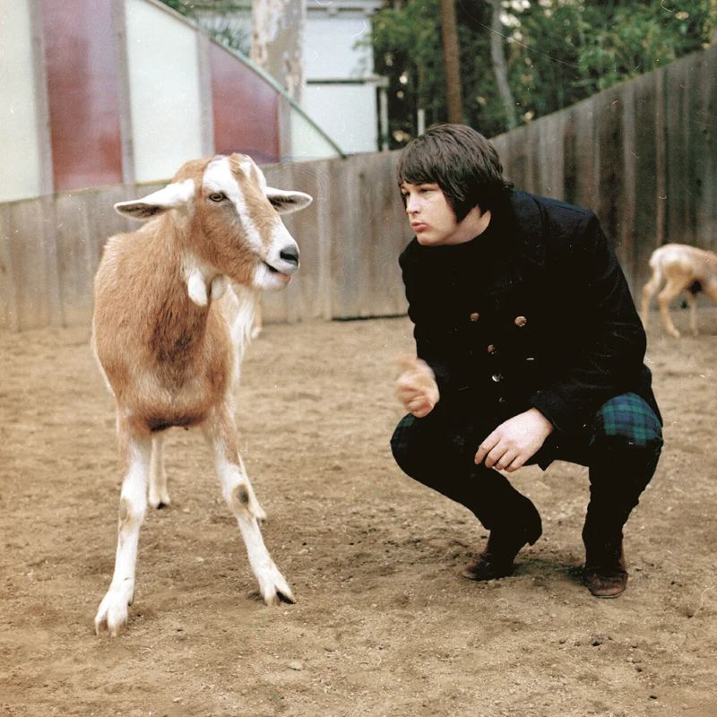 ブライアンウィルソン画像